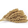 Mini Dried Grass Bouquet for Wedding Party Home Table Decoration HULI-PW0002-114B-1