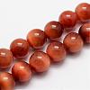 Natural Sun Tiger Eye Bead Strands G-O155-01A-6mm-1