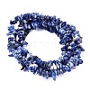 Natural Sodalite Chips Beads Strands X-F024-2