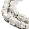 Natural Howlite Beads Strands G-F781-A03-01-4