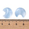 Baking Paint Transparent Glass Beads DGLA-F003-01E-3