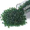 TOHO Round Seed Beads SEED-TR08-0242-1