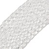 Transparent Glass Beads Strands GLAA-Z018-C16-1