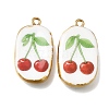 Fruit & Floral & Animals Printed Handmade Porcelain Pendants STAS-Z207-01G-09-1