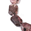 Natural Rhodonite Beads Strands G-B125-P01-01-3