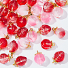 30Pcs 3 Styles Handmade Lampwork Fruit Pendants LAMP-WR0001-05-1
