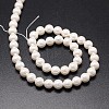 Shell Pearl Beads Strands X-BSHE-E008-8mm-12-2