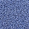 MIYUKI Delica Beads X-SEED-J020-DB2318-3