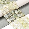 Natural New Jade Beads Strands G-H005-A07-02-2