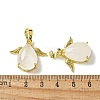 Natural Quartz Crystal Pendants KK-F888-01G-28-3