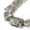 Natural Sesame Jasper/Kiwi Jasper Beads Strands G-P469-04-4