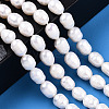 Natural Cultured Freshwater Pearl Beads Strands PEAR-N012-07Q-6