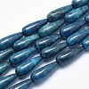 Natural Apatite Beads Strands G-K256-41B-1