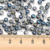 Iris Glass Seed Beads SEED-Z001-C-D06-4