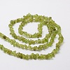 Grade A Natural Peridot Chip Bead Strands X-G-M298-05-2