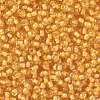 TOHO Round Seed Beads X-SEED-TR08-0949-2