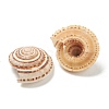Natural Shell Beads BSHE-H015-01-2