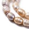 Natural Cultured Freshwater Pearl Beads Strands PEAR-XCP0001-07-4