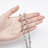 Natural Labradorite Bead Strands G-GL0001-03-3