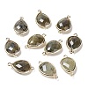 Natural Labradorite Links connectors G-L514-015F-1