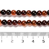 Natural Carnelian Beads Strands G-B079-A03-01-5