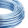 Round Anodized Aluminum Wire AW-BC0007-4.0mm-05-4