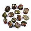 Natural Unakite Beads G-N332-013-1