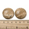 Natural Picture Jasper Cabochons G-C115-02B-22-3