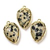 Natural Dalmatian Jasper Faceted Pendants G-M431-06G-05-1