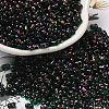 Spray Painted Glass Seed Beads SEED-F005-10A-05-1