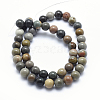 Natural Ocean Agate/Ocean Jasper Beads Strands G-G716-03-6mm-3