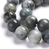 Natural Eagle Eye Beads Strands G-I281-02-4mm-6