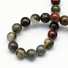 Natural African Bloodstone Beads Strands G-S184-10mm-2