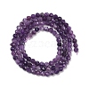 Natural Lepidolite/Purple Mica Stone Beads Strands G-C009-A26-5