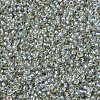 MIYUKI Round Rocailles Beads SEED-G007-RR3192-3