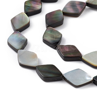 Natural Black Lip Shell Beads Strands SHEL-M018-16-1