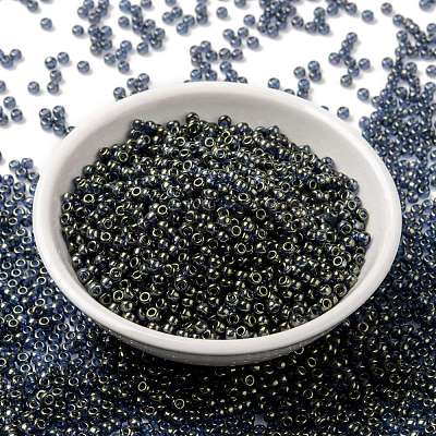 MIYUKI Round Rocailles Beads X-SEED-G008-RR2447-1