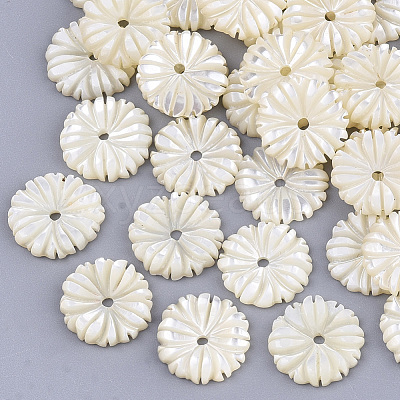 Natural White Shell Beads SSHEL-R045-23-1