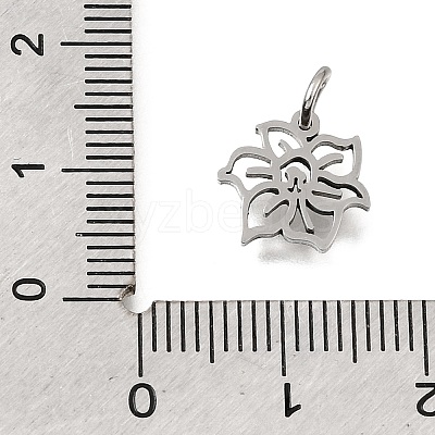304 Stainless Steel Charms SA-CBA4CE0-01P-C-1