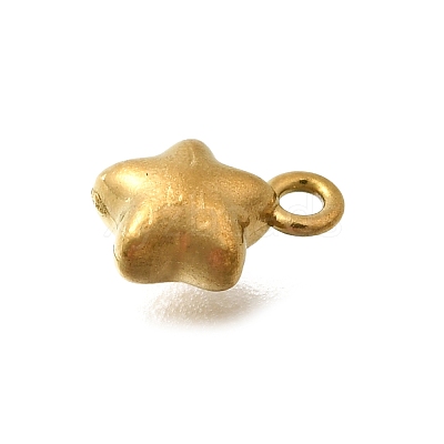 304 Stainless Steel Charms STAS-D310-06G-05-1