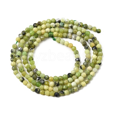 Natural Serpentine Beads Strands G-P603-C-2mm-06-1