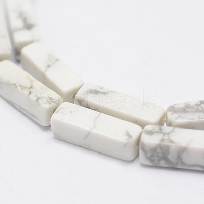 Natural Howlite Beads Strands X-G-E342-15-1
