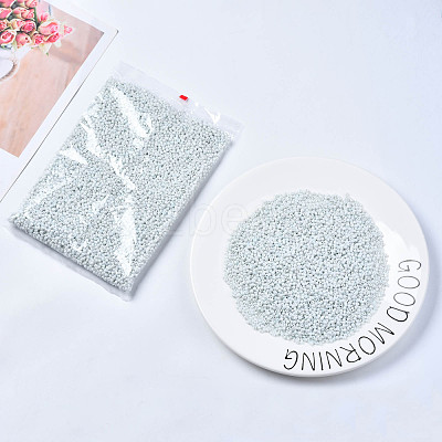 8/0 Glass Seed Beads SEED-S061-A-979-1