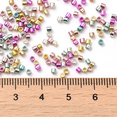 Electroplate Glass Seed Beads SEED-S042-01B-13-1