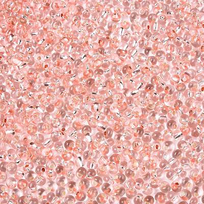 6/0 Baking Paint Transparent Fringe Glass Seed Beads SEED-N006-06E-1
