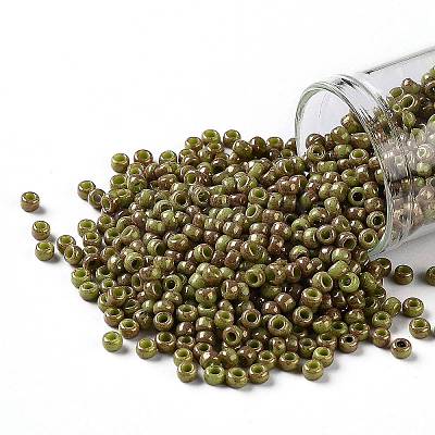 TOHO 8/0 Round Beads X-SEED-TR08-1209-1