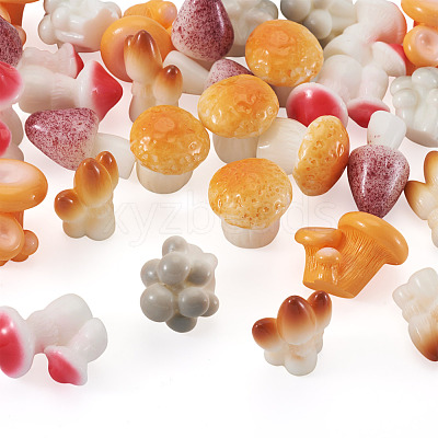 30Pcs 6 Colors Mushroom Themes Resin Display Decorations DJEW-TA0001-27-1