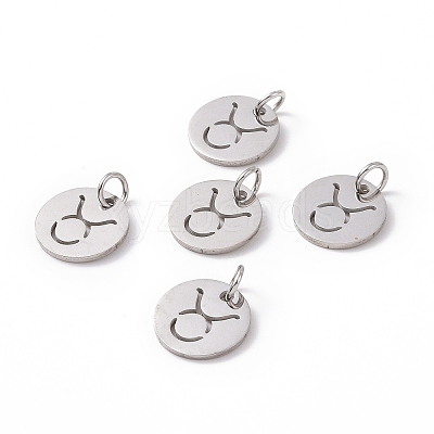 Non-Tarnish 304 Stainless Steel Charms STAS-Q201-T445-2S-1