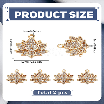 2Pcs Brass Micro Pave Cubic Zirconia Charms ZIRC-LP0001-63-1