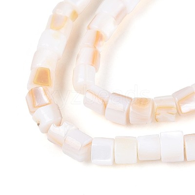 Natural Freshwater Shell Beads Strands SHEL-N027-09A-1